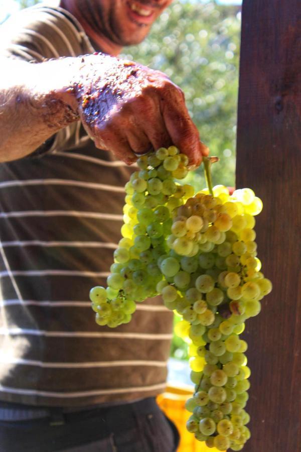 Licciana Nardi Agriturismo Il Poderetto מראה חיצוני תמונה
