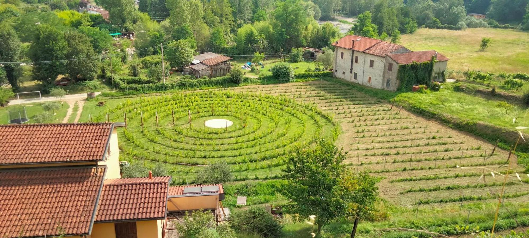 Licciana Nardi Agriturismo Il Poderetto מראה חיצוני תמונה